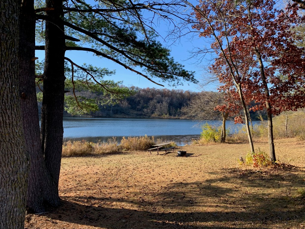 State Park - Expat Alien